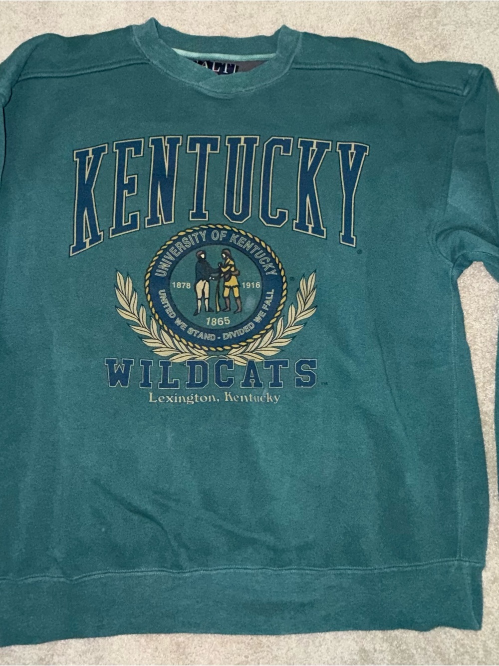 Kentucky Wildcats Vintage Style Crewneck Sweatshirt Men’s XL Galt Sand UK